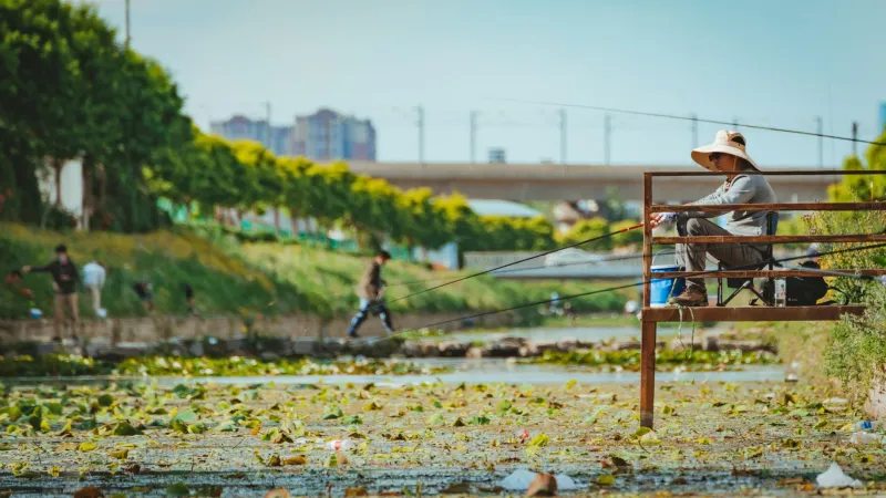 Casting in the Concrete Jungle: A Low-Impact Guide to Urban Fishing