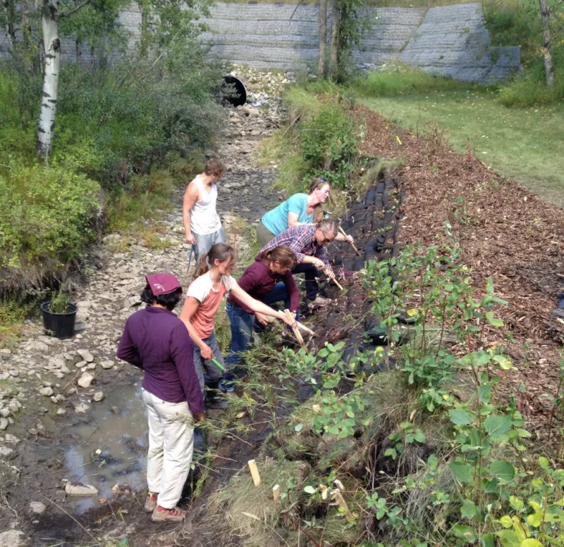Your Creek Needs You: A Hands-On Guide to DIY Stream Restoration on a Shoestring Budget