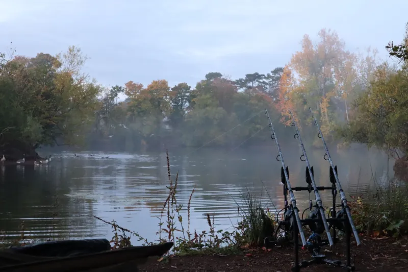 Show Up, Season After Season: How Consistent Anglers Quietly Heal Their Home Waters